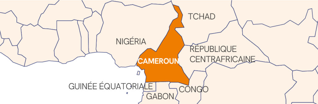 Carte Cameroun Fr