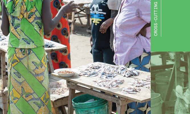 Cover Cross-cutting Evaluation - Health Community