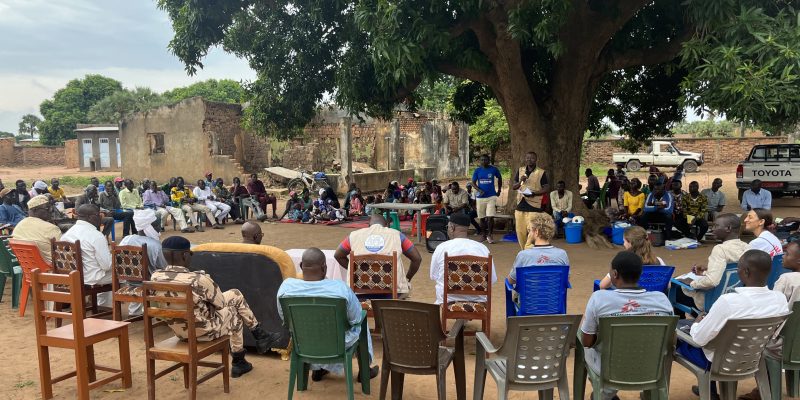 (24SANIC204 - INTEGREVAC) : Etude de l’intégration de la vaccination contre le paludisme à la chimioprévention du paludisme saisonnier