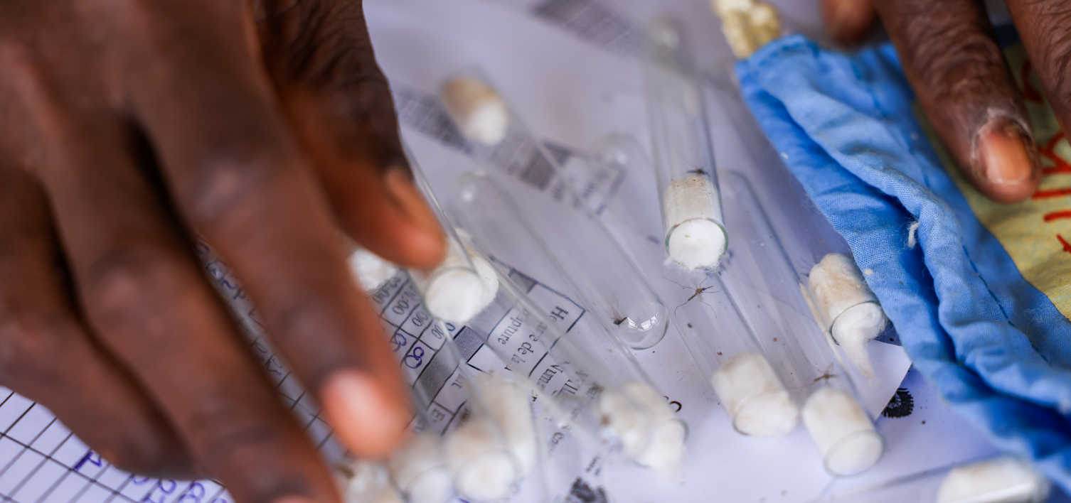 Projet TrapNet en Côte d'Ivoire