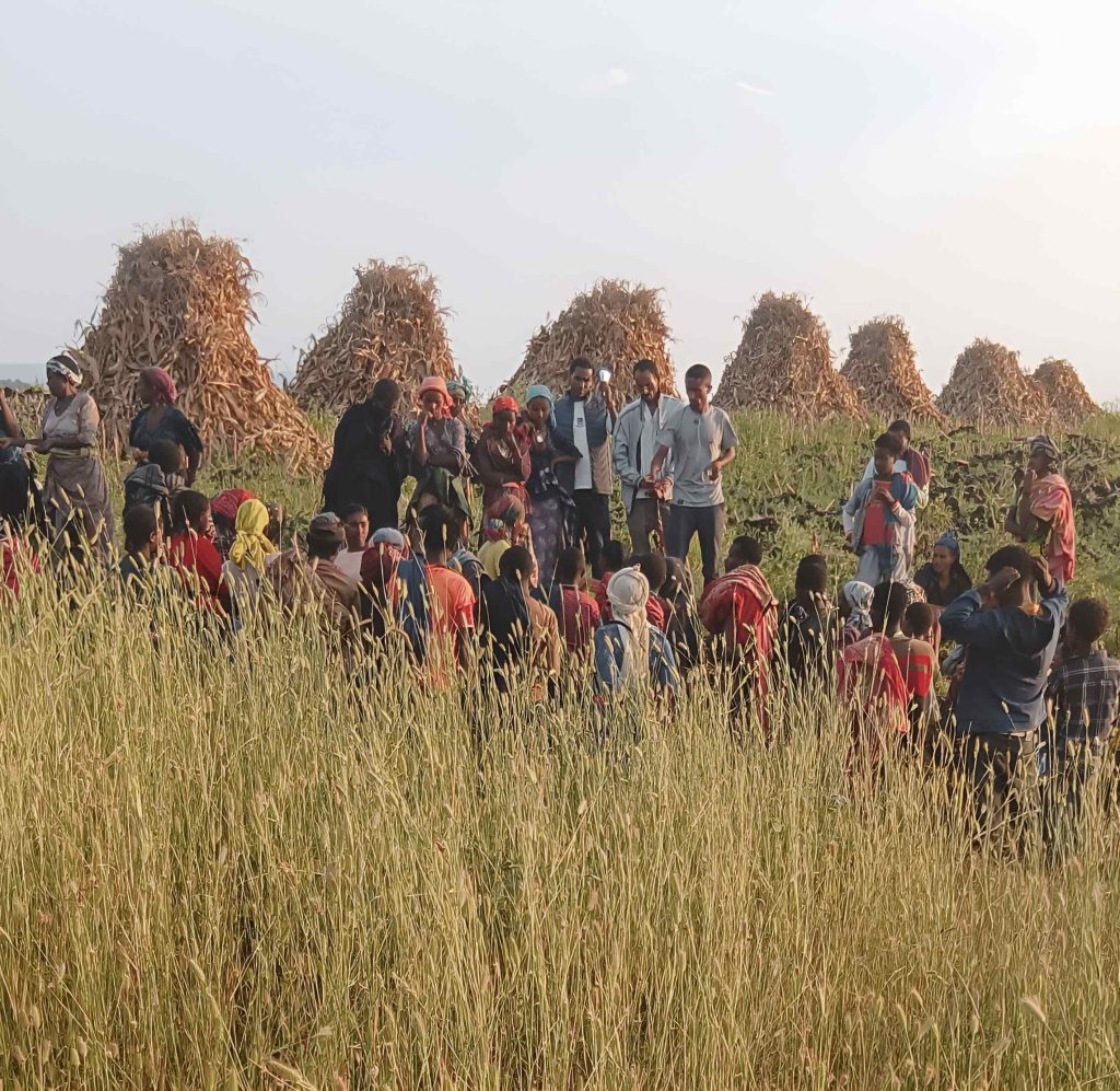 Groupe de travailleurs agricoles rassemblées dans un champs