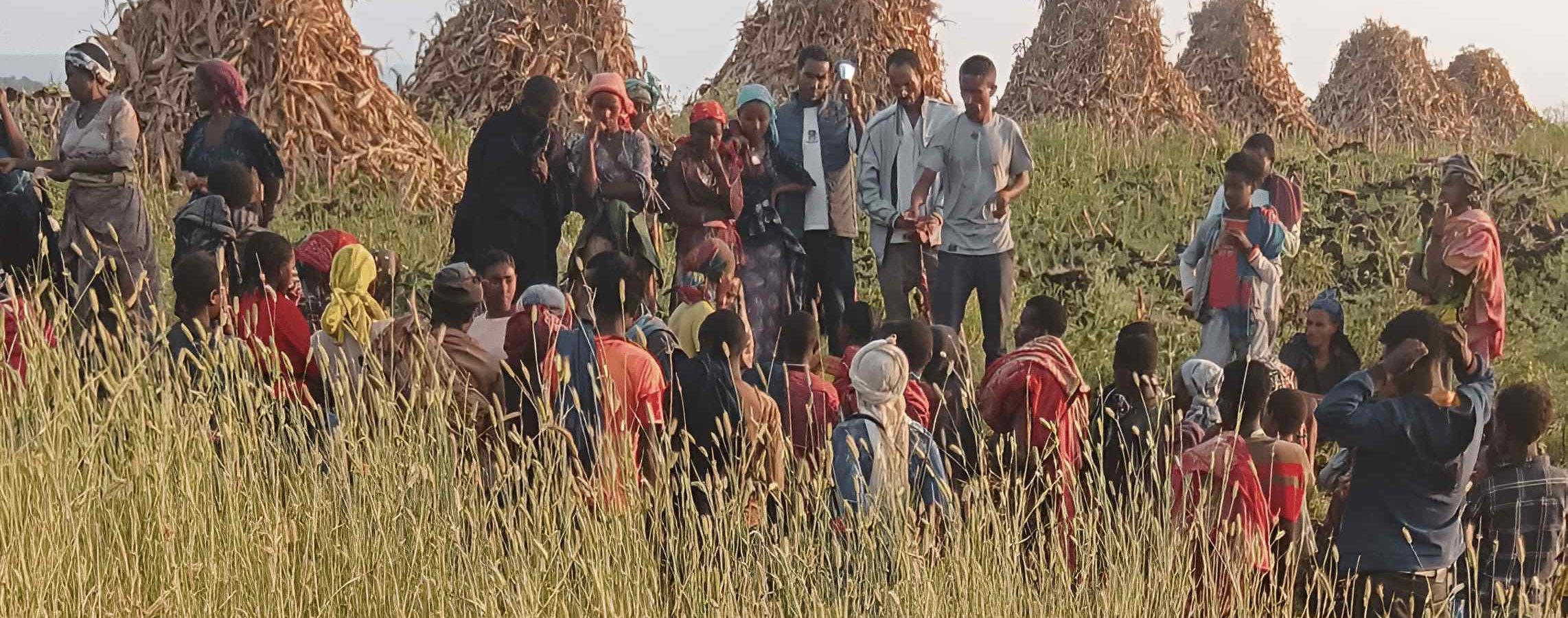 Group of people gathered in a field.