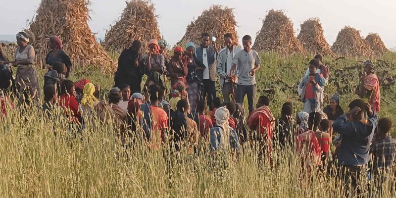 Group of people gathered in a field.