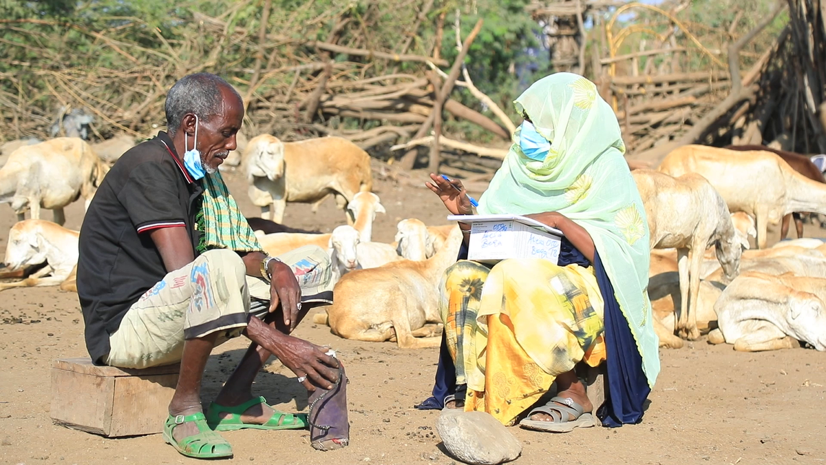 Reach Ethiopia Afar Household Tuberculosis Screening