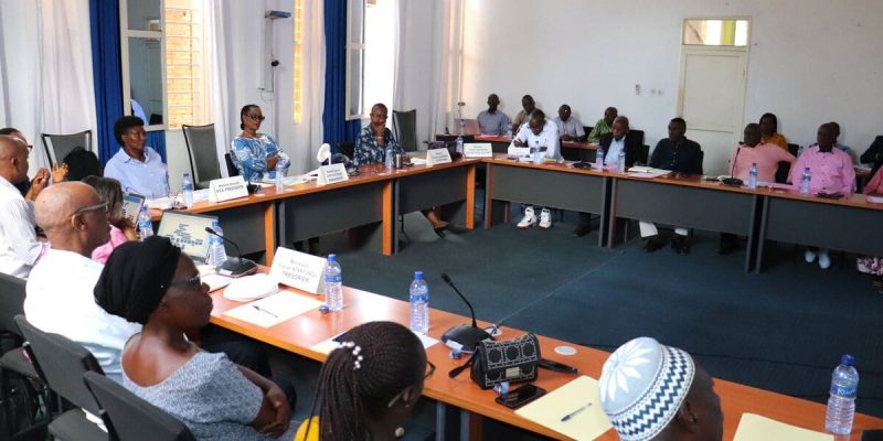 Executive Committee Meeting: Presentation of the Organizational Charts by the Consultant