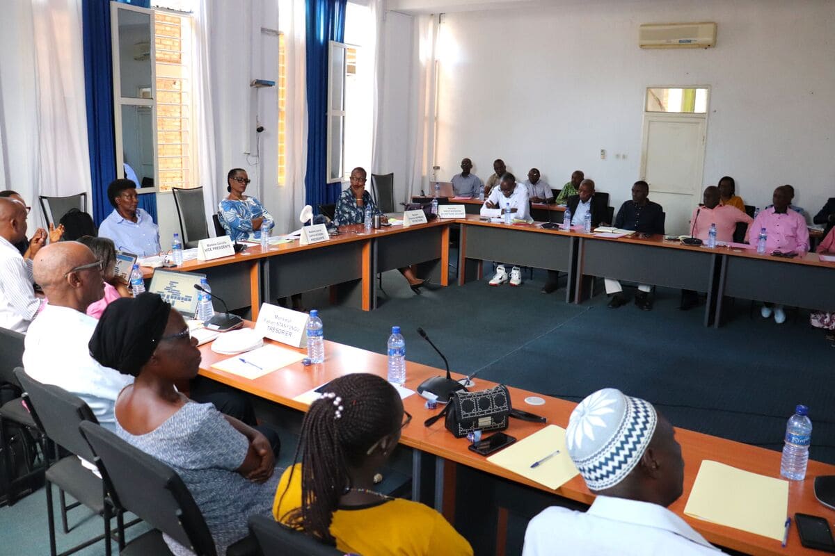 Executive Committee Meeting: Presentation of the Organizational Charts by the Consultant