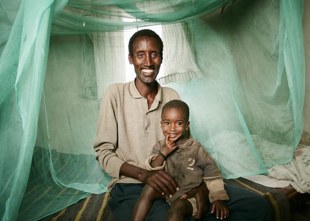 Faire de la lutte contre le paludisme une priorité durable pour les gouvernements