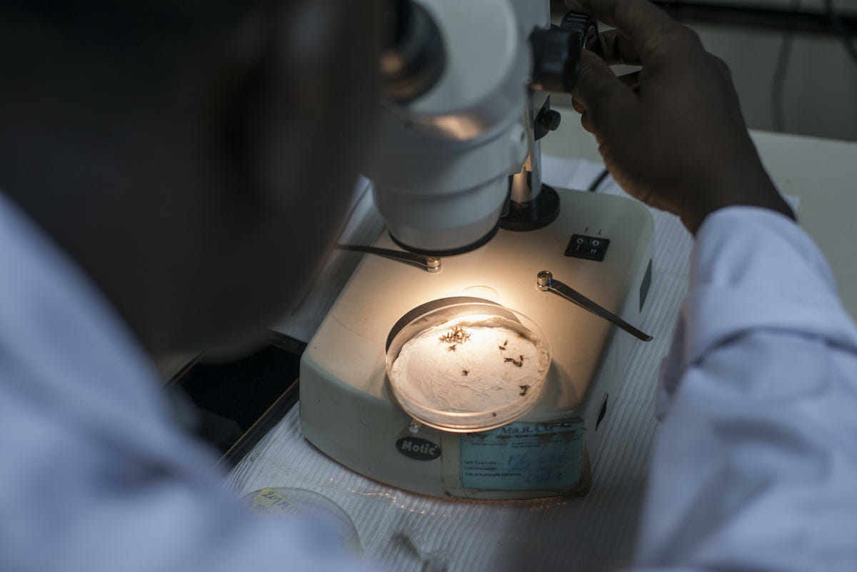 Malaria: antimalarial and antiparasitic resistance